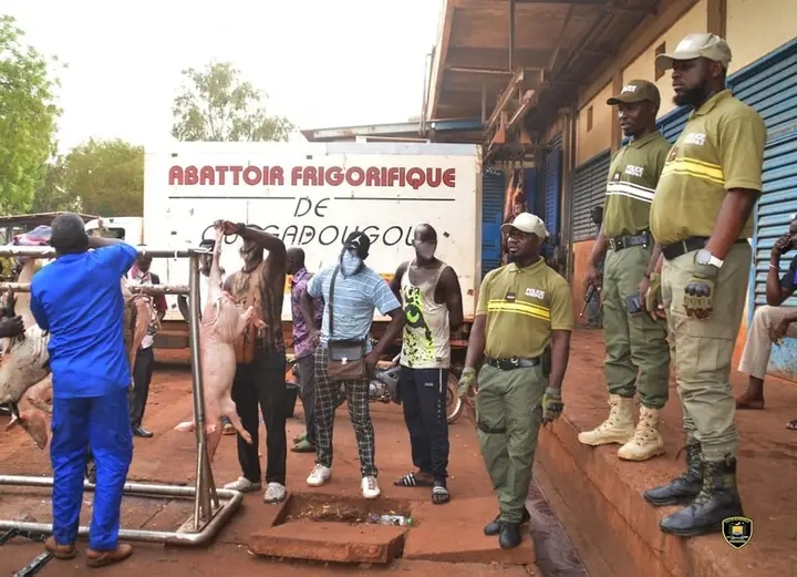 Ouagadougou : La Police municipale met fin à un réseau d’abattages clandestins dans les arrondissements n°2 et n°4